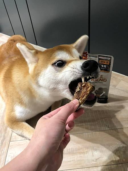 277176184_4848863718502183_680872723029739181_n.jpg 圖米其天然啃咬零食 寵物零食