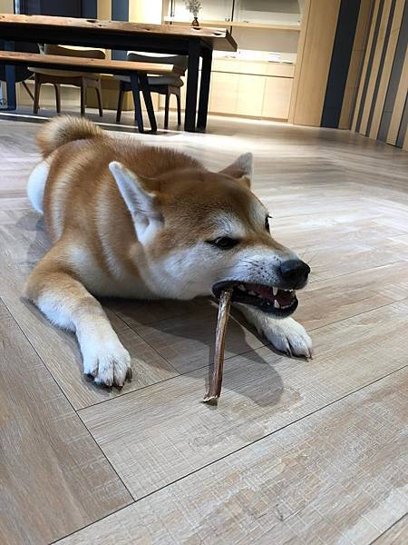 277530088_4851044344950787_1537265719316265443_n.jpg 圖米其天然啃咬零食 寵物零食