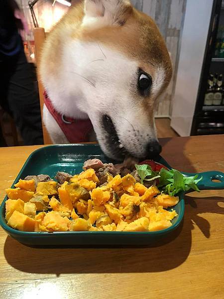 【竹北】竹北美食｜吃到飽餐廳、火鍋、燒肉、泰式料理、牛排、下