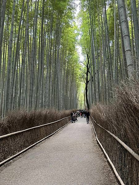 【京都】嵐山一日遊 必遊景點漫步散策＆必吃美食推薦