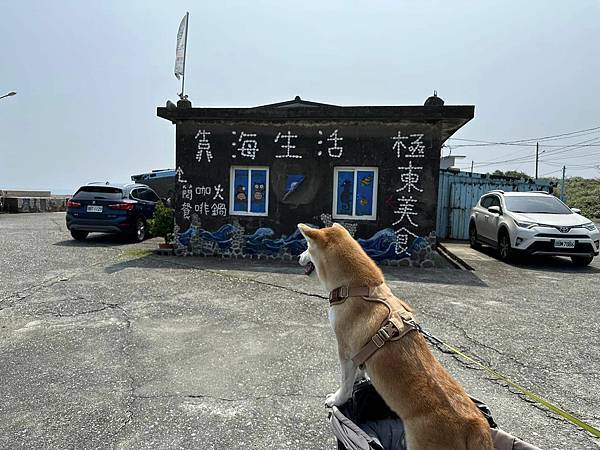 【新北】靠海生活 貢寮馬崗漁港 賞海景吃現撈活九孔鮑還有超涼