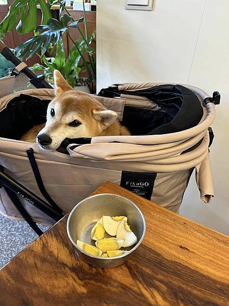 【宜蘭】木蘭春生 在辛勤的日子裡坐下來好好吃頓飯這就是記憶中