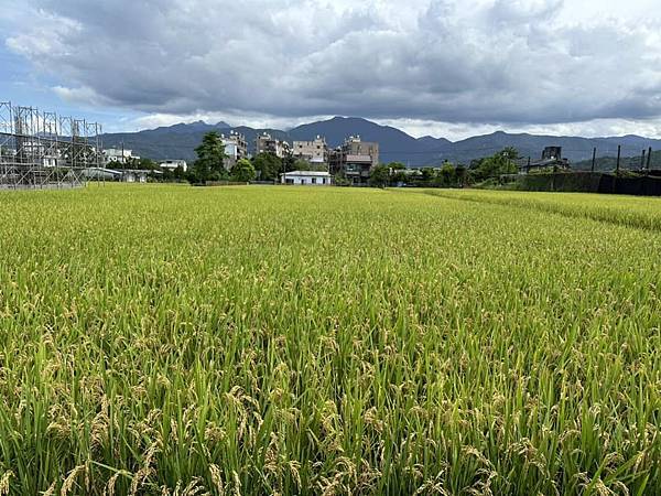 【宜蘭】ㄊㄡㄊㄡ來 有溫度的生活小販所 在復古懷舊童玩中享用 【宜蘭】ㄊㄡㄊㄡ來 有溫度的生活小販所 在復古懷舊童玩中享用