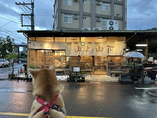 【南投】山上山下 埔里桃米村超高人氣日式咖哩飯