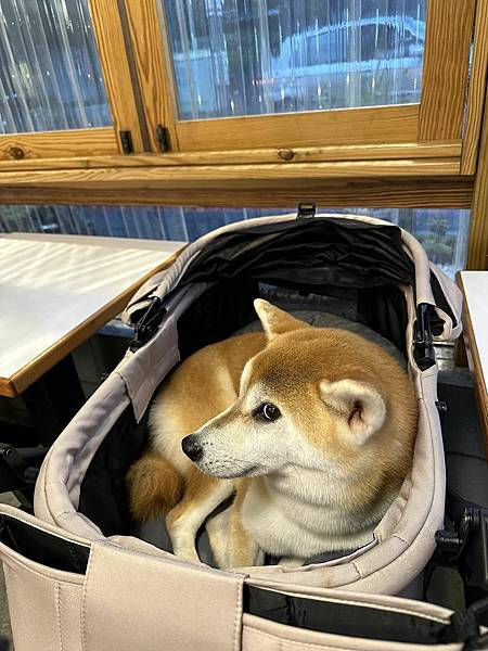 【南投】山上山下 埔里桃米村超高人氣日式咖哩飯