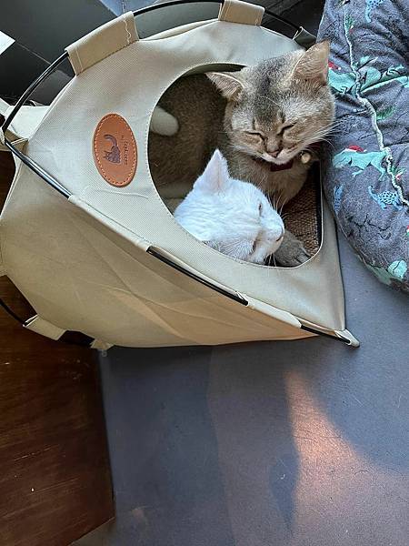 【台北】Takeout burger & cafe 內湖店 【台北】Takeout burger & cafe 內湖店