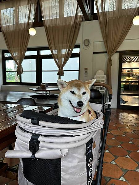 【桃園】好客食堂崙坪文化地景園區創意客家菜