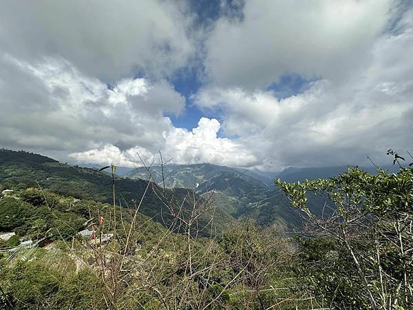 【南投】 Pâtisserie à la Montagne 