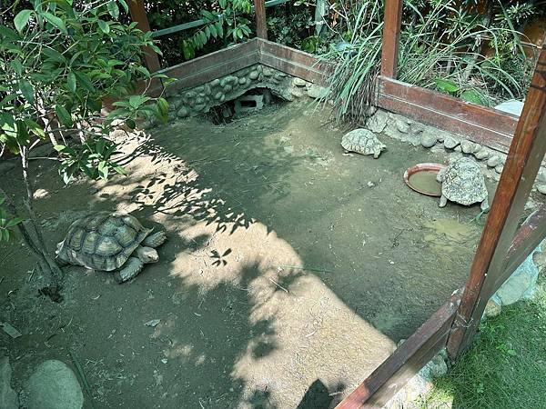 【南投】村上沐日 南投中興新村 獨棟豪宅饗創意義式料理