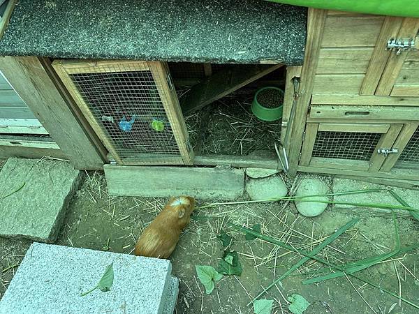 【南投】村上沐日 南投中興新村 獨棟豪宅饗創意義式料理