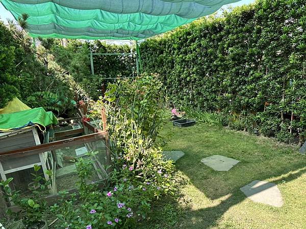 【南投】村上沐日 南投中興新村 獨棟豪宅饗創意義式料理