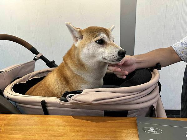 【南投】村上沐日 南投中興新村 獨棟豪宅饗創意義式料理