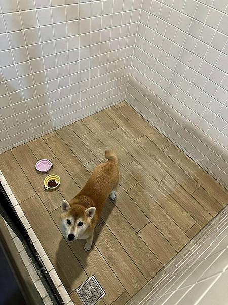 【宜蘭】饗宴鐵板燒 互動式無菜單鐵板燒 從前菜到甜點都精彩 【宜蘭】饗宴鐵板燒 互動式無菜單鐵板燒 從前菜到甜點都精彩