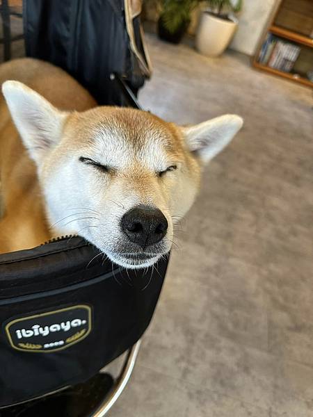 【苗栗】竹南拾光冰角 堅持手工熬煮配料的老宅甜品店 【苗栗】竹南拾光冰角 堅持手工熬煮配料的老宅甜品店