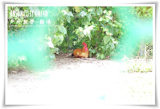 DSCF7260.JPG DSCF7260.JPG