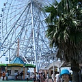 the ferry wheel in Nagoya