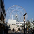 the ferris wheel