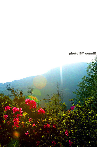 陽明山.jpg 陽明山.jpg