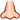 nose.png