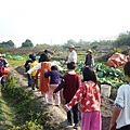 三灣後菜園