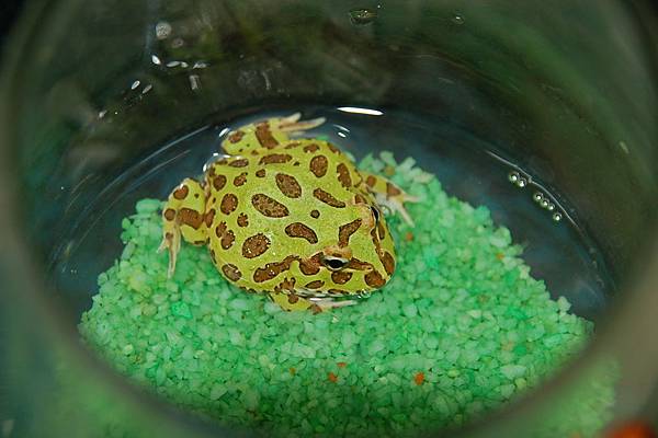 DSC_0758.JPG DSC_0758.JPG