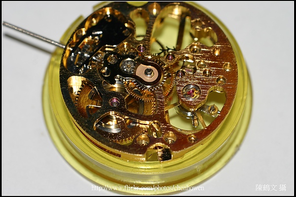 機械錶機芯-05_Leica R 100mm F2.8 Macro.jpg