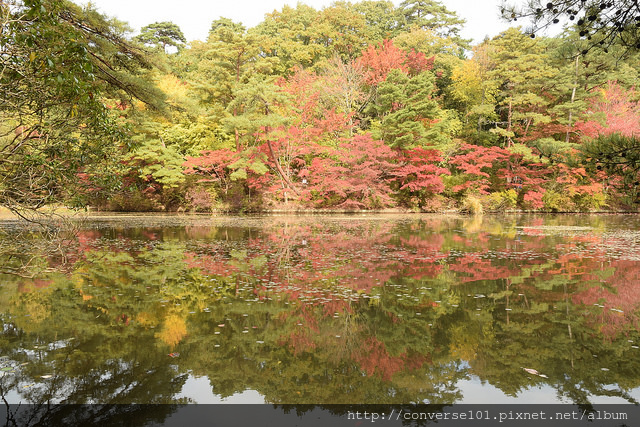 17秋賞楓紅葉 關西神戶市立森林植物園11 07 懶人璇璇の吃喝玩樂 痞客邦