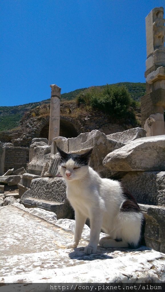 IMAG2959.jpg IMAG2959.jpg