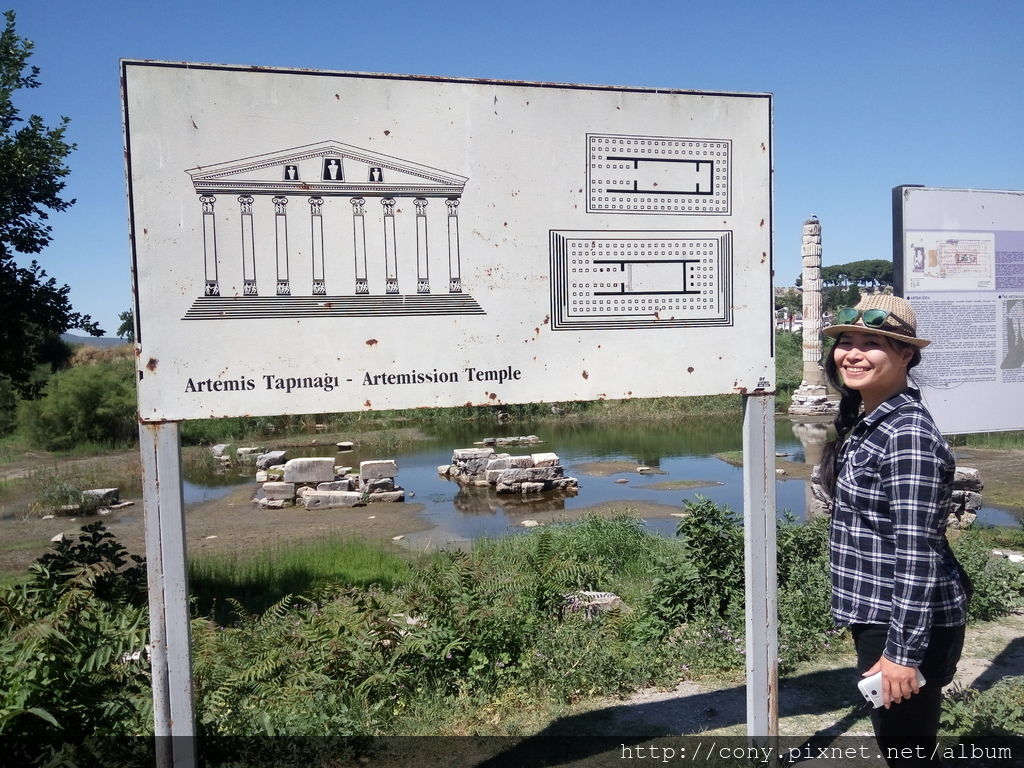 IMG_20160609_153705.jpg IMG_20160609_153705.jpg