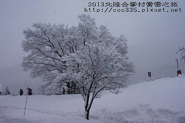 合掌村邂逅館5.jpg