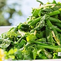 涼拌龍鬚菜2.jpg