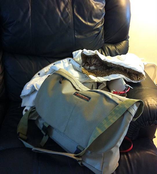 10805688_10205597593607713_891931487235720108_n