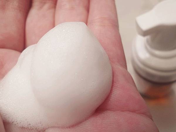 護膚 ░  TASTO上山採藥全新新品潔顏山茶花、玫瑰花、茶樹系列， CP值高的洗臉卸妝慕斯一瓶搞定!_46.jpg