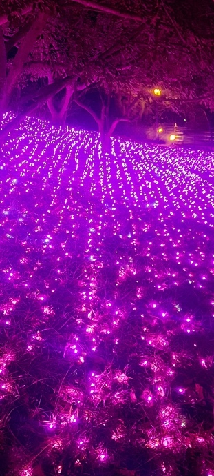 賞燈活動 hot springs festival 2021屏東四重溪溫泉季 - 屏東縣觀光旅遊 travel trip spa 墾丁旅行  墾丁泡溫泉 南部溫泉  溫泉推薦_7_189.jpg