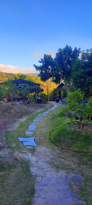 賞燈活動 hot springs festival 2021屏東四重溪溫泉季 - 屏東縣觀光旅遊 travel trip spa 墾丁旅行  墾丁泡溫泉 南部溫泉  溫泉推薦 南部溫泉_38.jpg