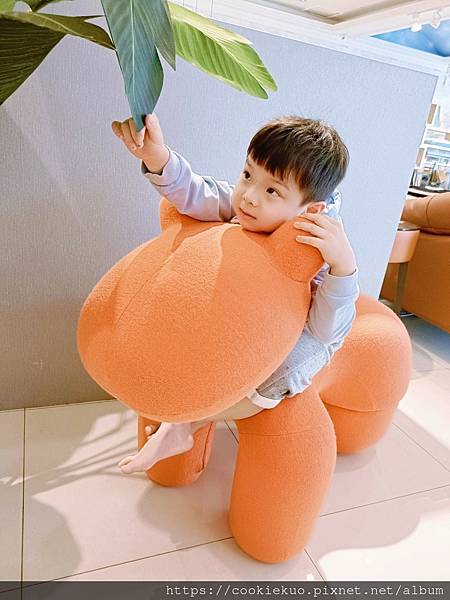 LINE_ALBUM_好睡王_230206_36 LINE_ALBUM_好睡王_230206_36