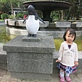 IMG_3936.JPG