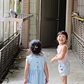 IMG_8524.JPG