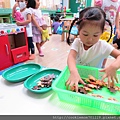 IMG_9920.JPG