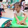 IMG_9922.JPG