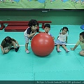 IMG_9935.JPG