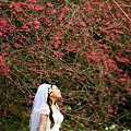 wedding 0712.jpg