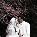 wedding 0717.jpg