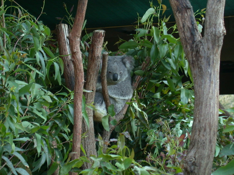 庫倫濱鳥園006