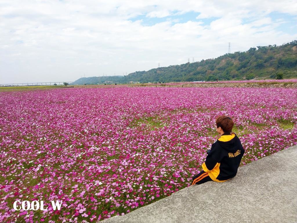 20180121_180125_0004_结果 (Copy).jpg