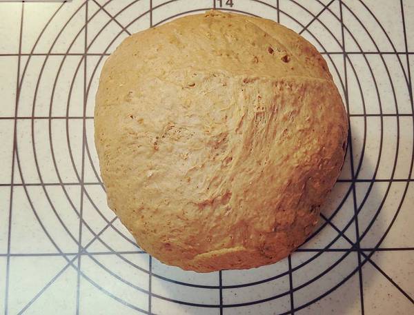 11244547_10203475860977213_20520278_o.jpg 11244547_10203475860977213_20520278_o.jpg