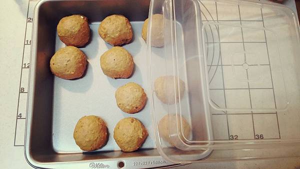 11641886_10203475863177268_612793187_o.jpg 11641886_10203475863177268_612793187_o.jpg