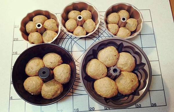 11641957_10203475848136892_1130220034_o.jpg 11641957_10203475848136892_1130220034_o.jpg