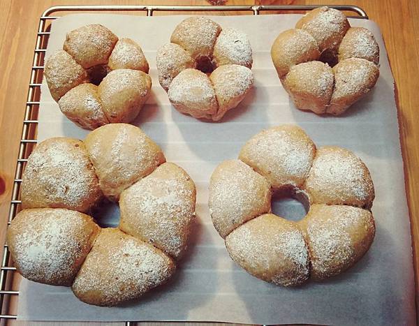 11656058_10203475847056865_942597955_o.jpg 11656058_10203475847056865_942597955_o.jpg