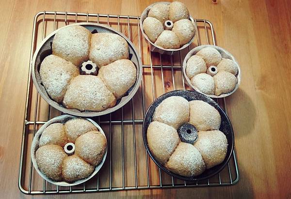 11660063_10203475847176868_1479734109_o.jpg 11660063_10203475847176868_1479734109_o.jpg